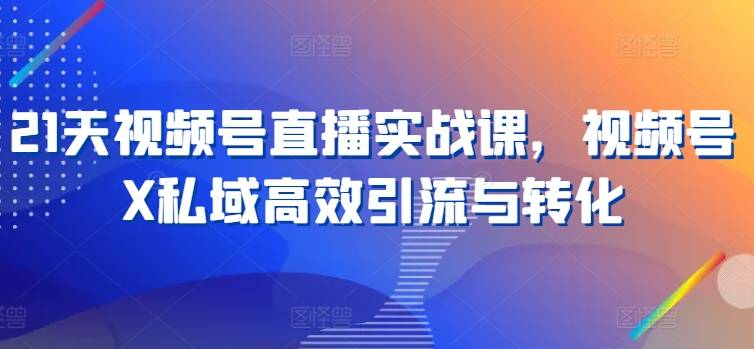 21天视频号直播实战课，视频号X私域高效引流与转化-小北视界