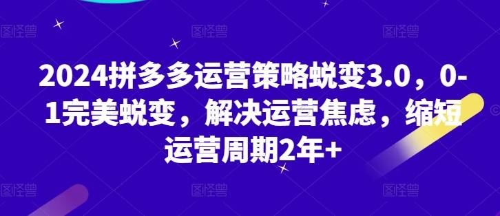 2024拼多多运营策略蜕变3.0，0-1完美蜕变，解决运营焦虑，缩短运营周期2年+-小北视界