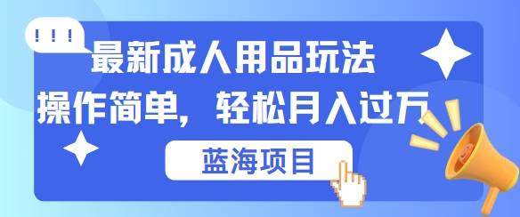 最新成人用品项目玩法，操作简单，动动手，轻松日入几张【揭秘】-小北视界