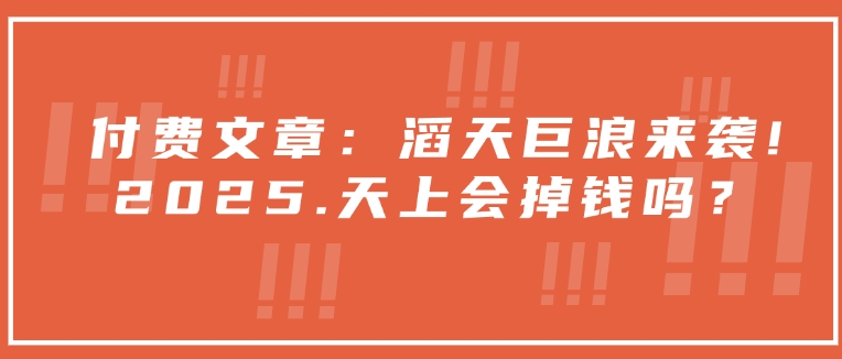 付费文章：滔天巨浪来袭！2025天上会掉钱吗？-小北视界